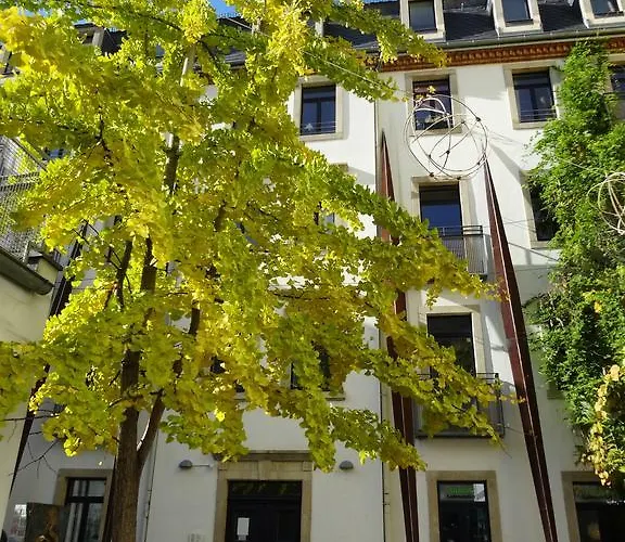 Neustadtperle * Dresden